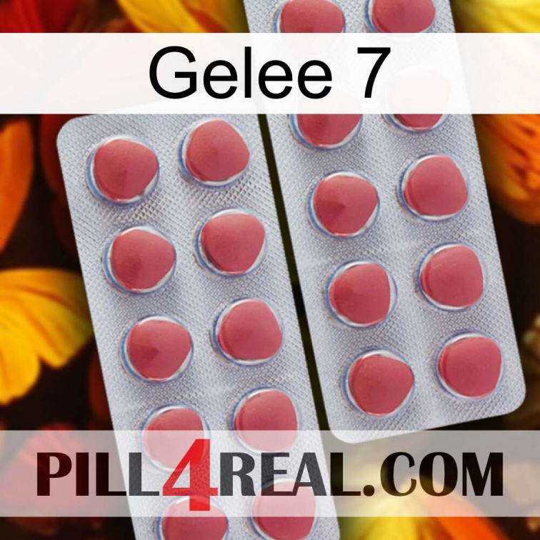 Jelly 7 19